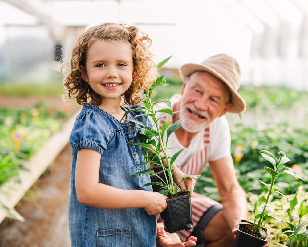 Cosmetic Dental Services in Limoges